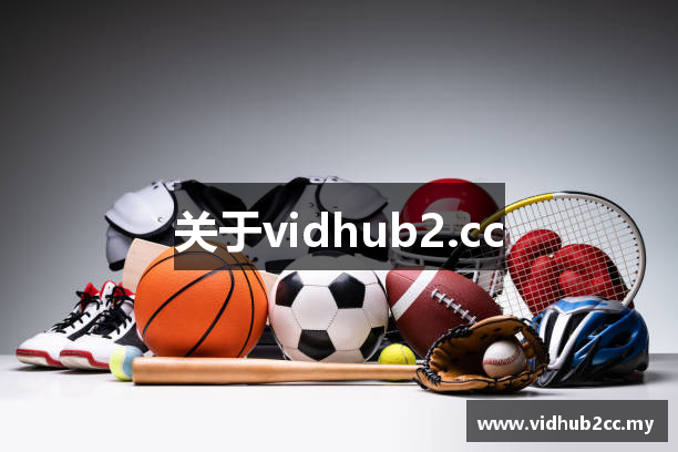 关于vidhub2.cc